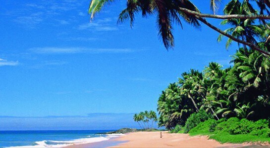 Goa Goa